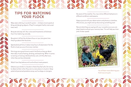 How to Speak Chicken: Why Your Chickens Do What They Do  Say What They Say
