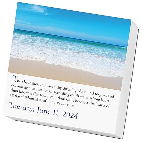 365 Bible Verses-A-Year for 2024 Page-A-Day Calendar: Timeless Words From the Bible to Guide, Comfort, and Inspire
