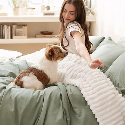 Bedsure Blankets Queen Size for Bed - GentleSoft Cozy Soft Blankets for Women, Cute Large Fleece Throws for Girls, Off White, 90x90 Inches