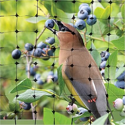 Bird Netting and Fencing Reusable TreeShrub Barrier, 14 ft x 14 ft ,Gray