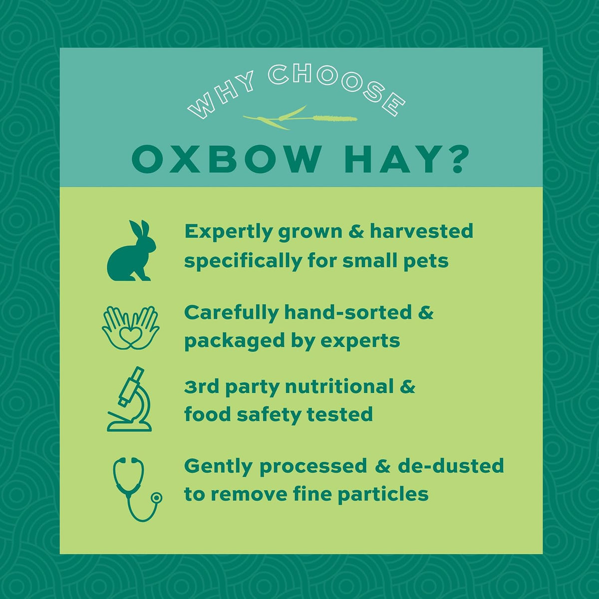 Oxbow Orchard Hay, Rabbit & Guinea Pig Hay, Hand-Sorted, De-Dusted, 40 oz Hand-Sorted, De-Dusted, Oxbow Orchard Grass Hay, Bunny Hay For Rabbits, Guinea Pigs, Bunnies and Chinchillas, Made in USA