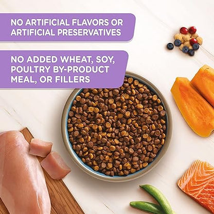 Rachael Ray Nutrish Longevity Premium Natural Dry Cat Food, Chicken with Chickpeas  Salmon Recipe, 6 Pounds (Packaging May Vary)