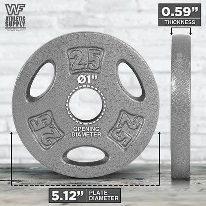 WF Athletic Supply Cast Iron 1 in Standard Grip Plate