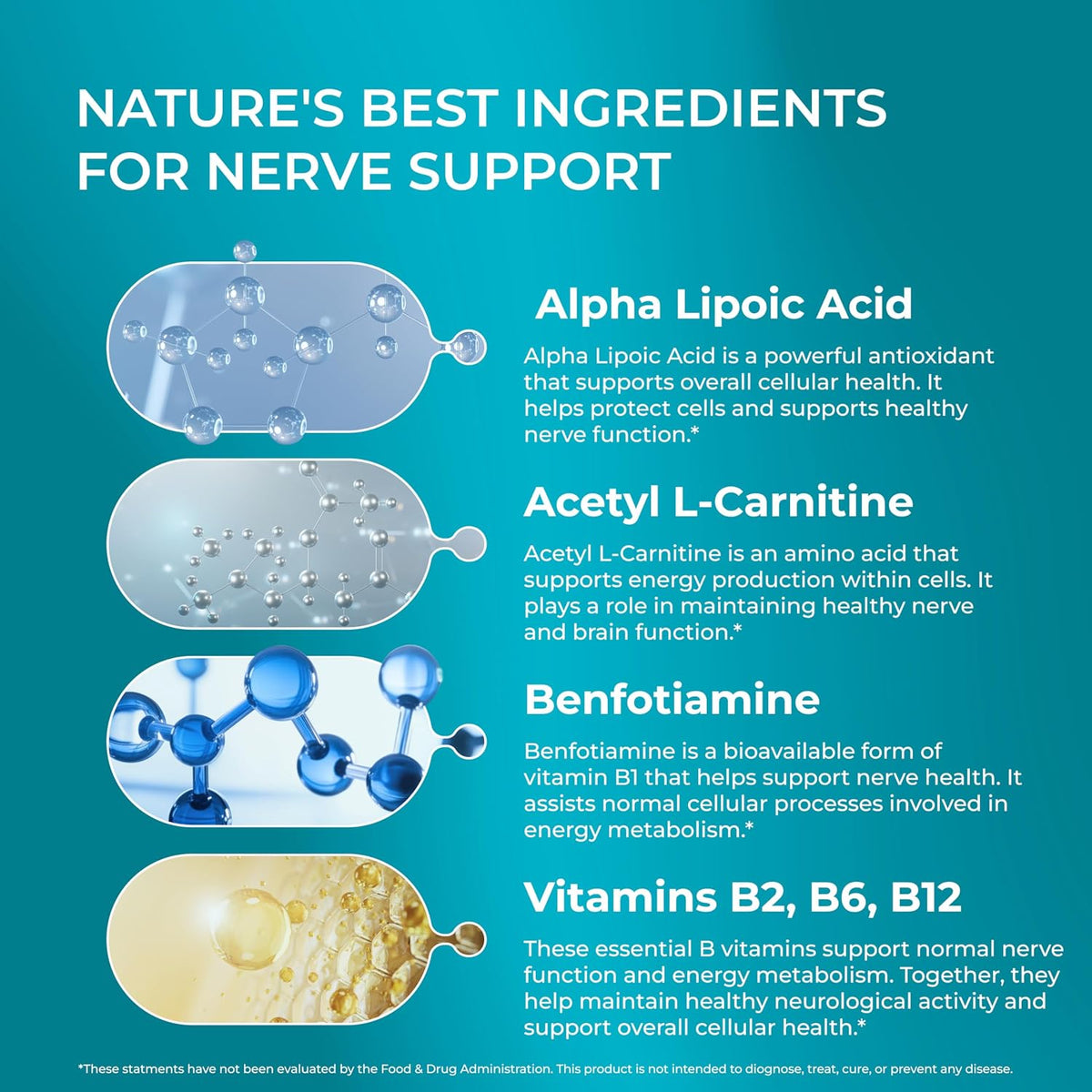 PUREHEALTH RESEARCH Nerve Regen Formula - Nerve Support Supplement for Feet & Hands - with Alpha Lipoic Acid ALA, Benfotiamine, Acetyl L-Carnitine, Riboflavin, Vitamin B6, B12, D3 & More- 60 Capsules