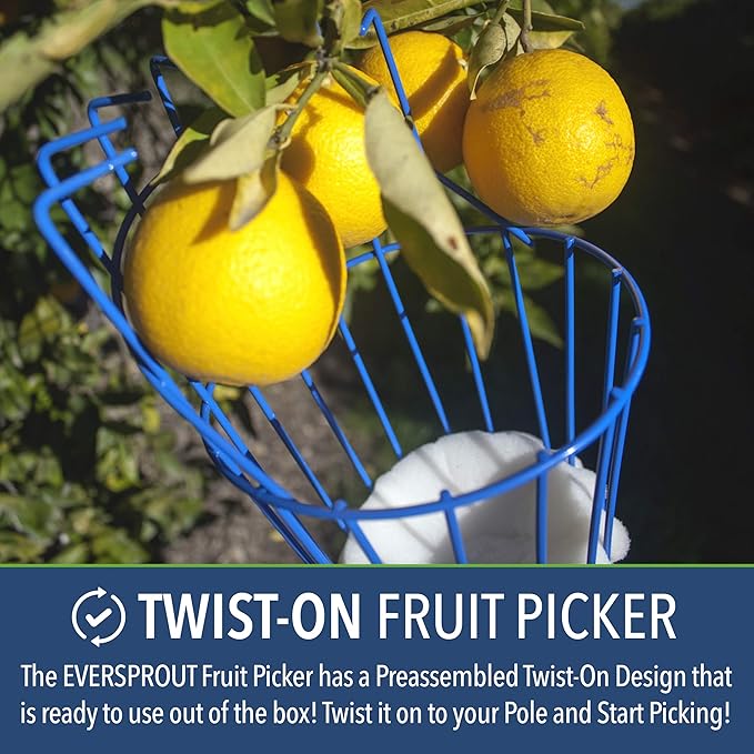 EVERSPROUT Twist-On Fruit Picker Basket, Twists onto Standard US Threaded Pole (34-inch ACME), Fruit Picker Head Basket, Fruit Harvesting Tool, Apple, Mango Picker etc. (Head Only, Pole Not Included)