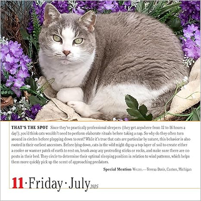 365 Cats Page-A-Day Calendar 2025: The World's Favorite Cat Calendar