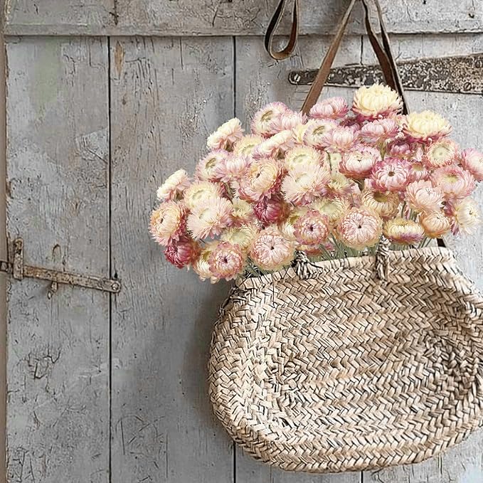 20 Pcs Natural Dried Daisy Flowers Bouquet Dried Flower Pink Daisies Dried Sunflowers Chrysanthemum with Stem for Wedding Farmhouse Table Vase Decor Home DIY Flower Arrangement