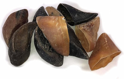 Downtown Pet Supply Dog Bones - Cow Hooves for Dogs Made in USA - Dog Dental Treats  Rawhide Free Dog Chews - Bully Sticks Alternative - Dog Chew Bones - Grass-Fed Beef Hooves - Plain - 10 Pack