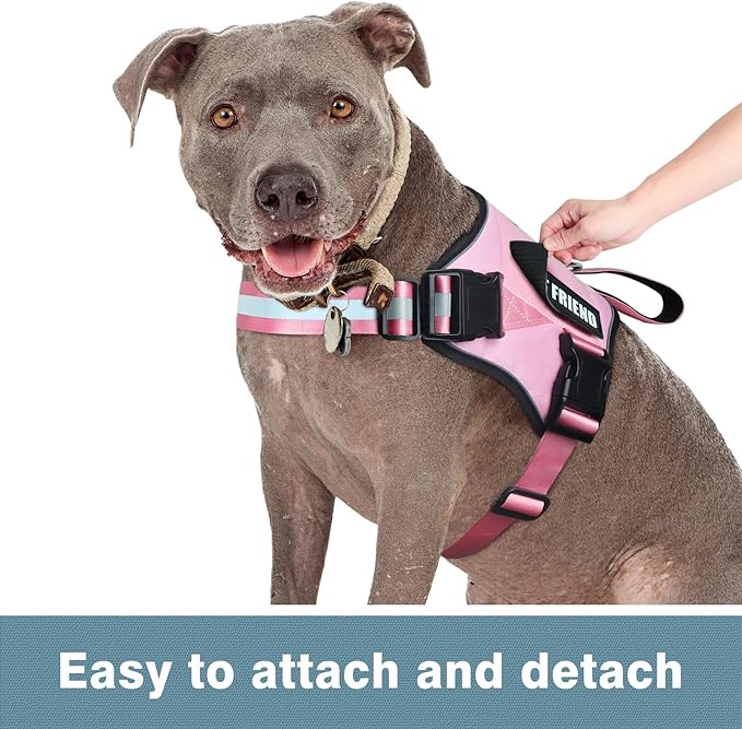 WINSEE Service Dog Patches for Dog Harness (2 pcs, L)