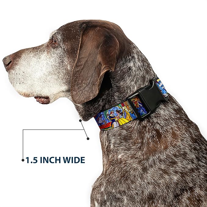 Buckle-Down Beauty  The Beast Stained Glass Scenes Plastic Clip Collar, Small9-15"