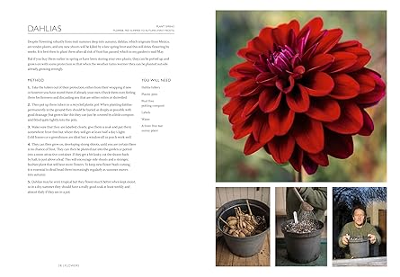 The Gardening Book: An Accessible Guide to Growing Houseplants, Flowers, and Vegetables for Your Ideal Garden