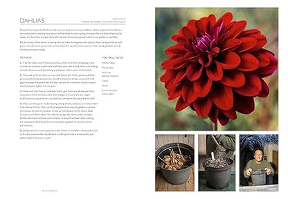 The Gardening Book: An Accessible Guide to Growing Houseplants, Flowers, and Vegetables for Your Ideal Garden