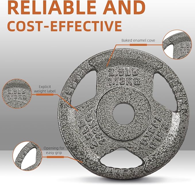 Fitvids Cast Iron 1-Inch Standard Weight Plate for Strength Training & Weightlifting, Multiple Weights Available