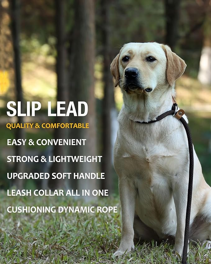 lynxking Slip Lead Dog Leash, 6 FT x 12" Heavy Duty Dog Loop Leashes, Comfortable Strong Rope Slip Leash for Dogs