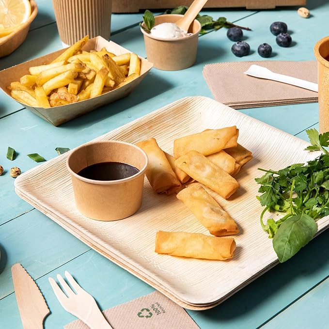 BIOZOYG Disposable Plates 200 Pack 6 Inch Square Palm Leaf Plates - Tableware Compostable Disposable - Alternative to Bamboo Plates - Party Tableware