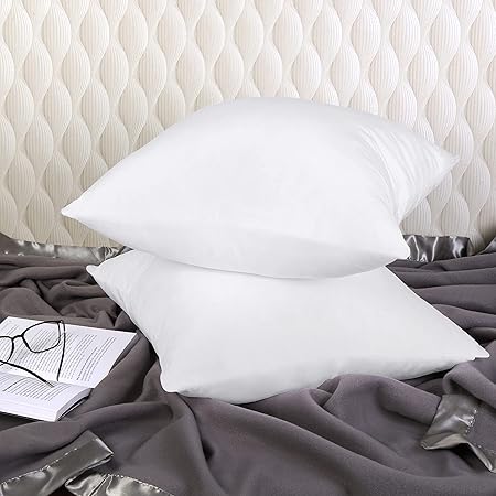 Utopia Bedding Throw Pillows Insert (Pack of 2, White) - 20 x 20 Inches Bed and Couch Pillows - Indoor Decorative Pillow