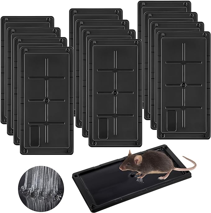 Qualirey 12 Pack Glue Traps for Rats and Snakes, Larger and Heavy Duty Baited Sticky Traps with Non Toxic Glue, Exterminator Plastic Mouse Indoor Trap, Ready to Use, Safe to Children and Pets (Black)