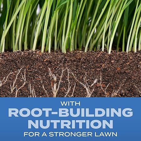 Scotts Turf Builder Grass Seed Sun  Shade Mix with Fertilizer and Soil Improver, Thrives in Many Conditions, 5.6 lbs.