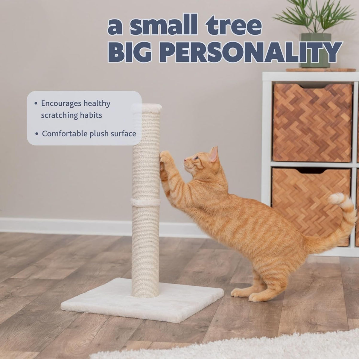 Trixie Parla Cat Scratching Post 24.4 Inch - Cat Scratcher with Soft Fabric Covering Base and Durable Natural Jute Rope - Beige
