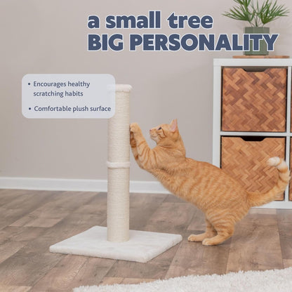 Trixie Parla Cat Scratching Post 24.4 Inch - Cat Scratcher with Soft Fabric Covering Base and Durable Natural Jute Rope - Beige