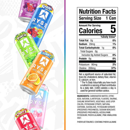 RYSE Fuel Energy Drink - Variety Pack - Sugar Free, Gluten Free & Vegan - 200mg Natural Caffeine, Taurine & Choline for Focus & Energy - No Artificial Colors - 16 fl oz Cans (12-Pack)