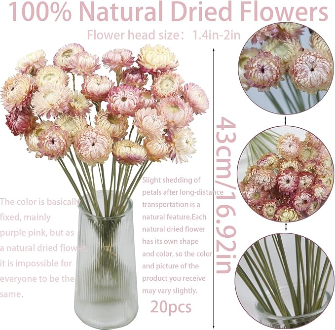 20 Pcs Natural Dried Daisy Flowers Bouquet Dried Flower Pink Daisies Dried Sunflowers Chrysanthemum with Stem for Wedding Farmhouse Table Vase Decor Home DIY Flower Arrangement