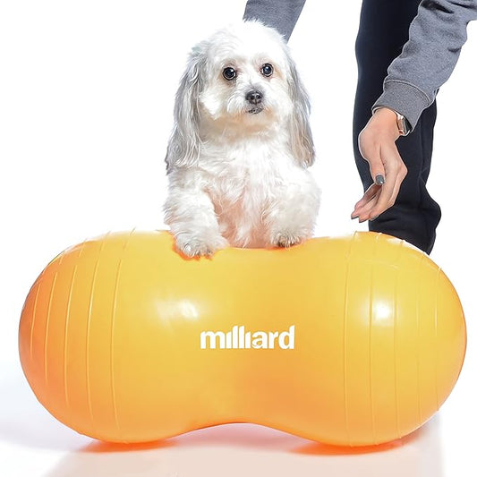 Milliard Peanut Ball Physio Roll for Exercise, Therapy, Labor, Birthing and Dog Training