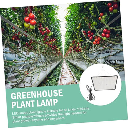 BESPORTBLE Greenery 1 Set Plant Fill Light Indoor Grow Light Dimmable Light Bulbs Plant Growing Bulb Green Light Bulb Full Spectrum Grow Lights House Plants Skin Household Flashlight White