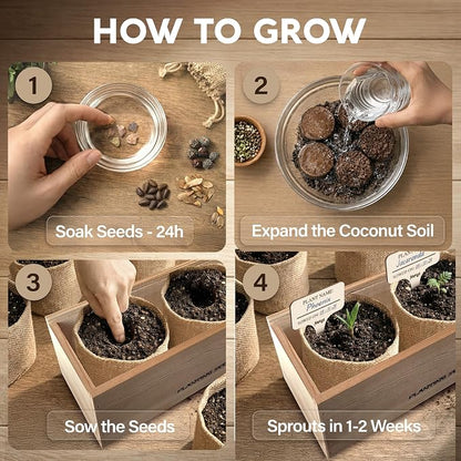Bonsai Tree Kit Classic - 5X Unique Japanese Bonzai Trees | Complete Indoor Bonsai Starter Kits for Growing Trees – DIY Gardening Gifts for Mother, Women & Men
