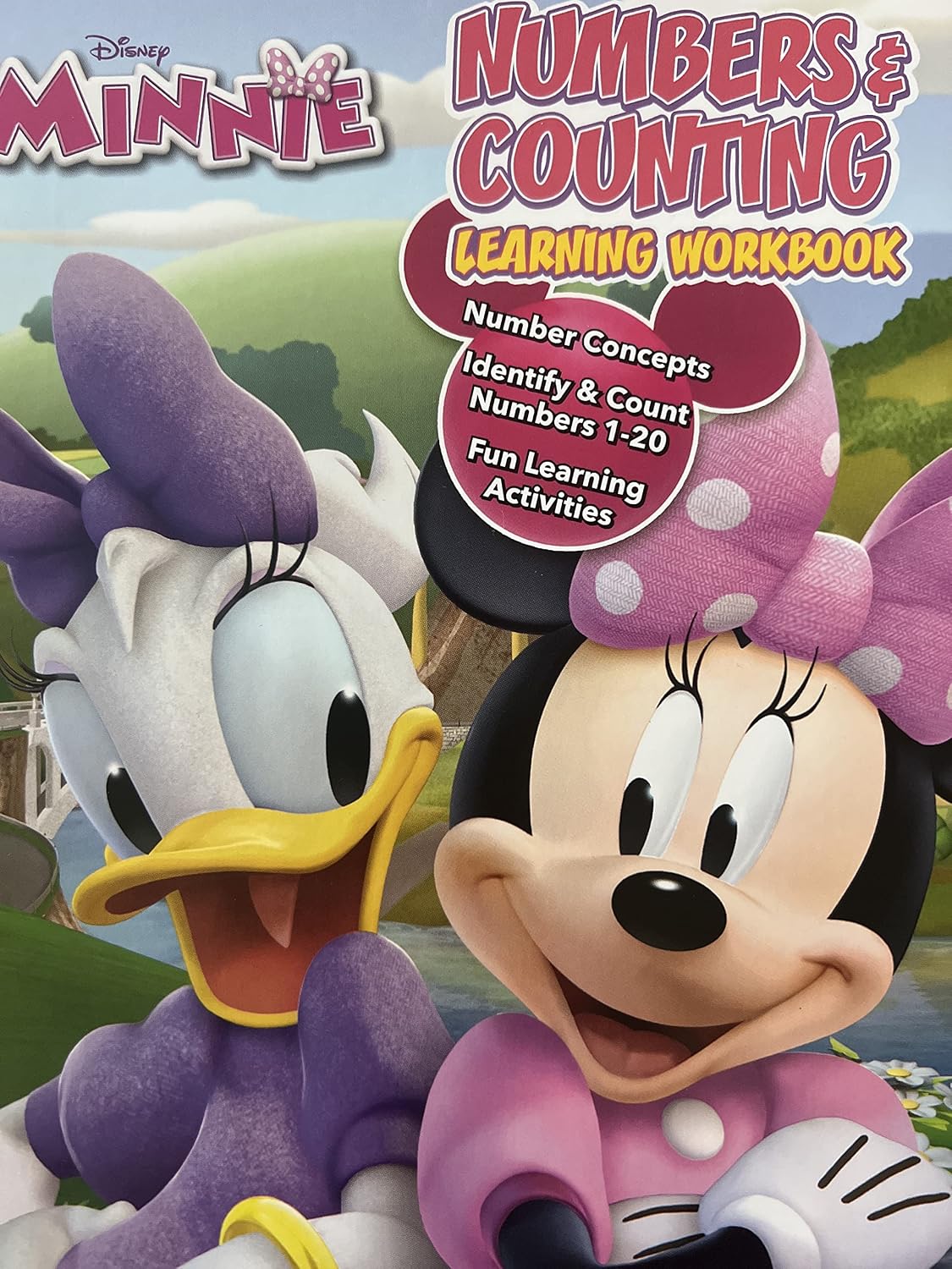 Minnie Mouse Numbers & Counting Learning Workbook
