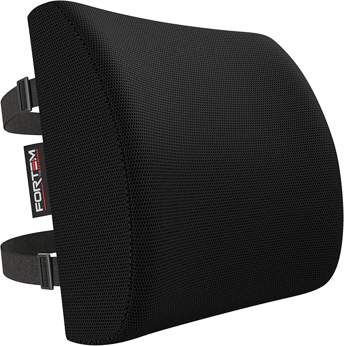 FORTEM Lumbar Support Cushion, Back Support for Office Chair and Car Seat, Back Rest for Gaming Chair, Memory Foam Pillow, Desk Chair Cushion, Breathable & Washable Cover, Adjustable Straps