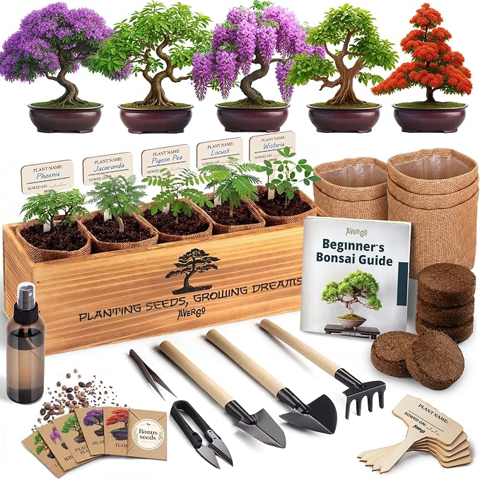 Bonsai Tree Kit Classic - 5X Unique Japanese Bonzai Trees | Complete Indoor Bonsai Starter Kits for Growing Trees – DIY Gardening Gifts for Mother, Women & Men