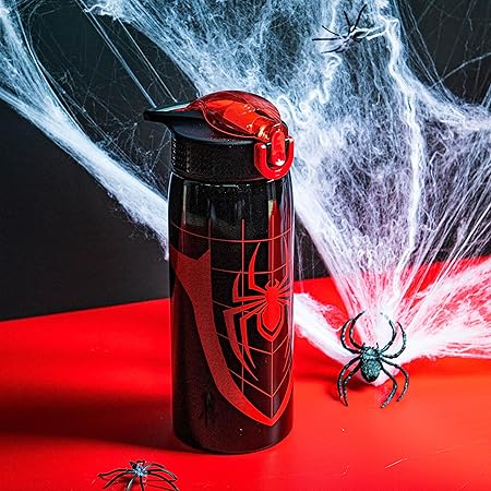 Zak Designs Marvel Spider-Man Water Bottle for Travel and At Home, 19 oz Vacuum Insulated Stainless Steel with Locking Spout Cover, Built-In Carrying Loop, Leak-Proof Design (Miles Morales)