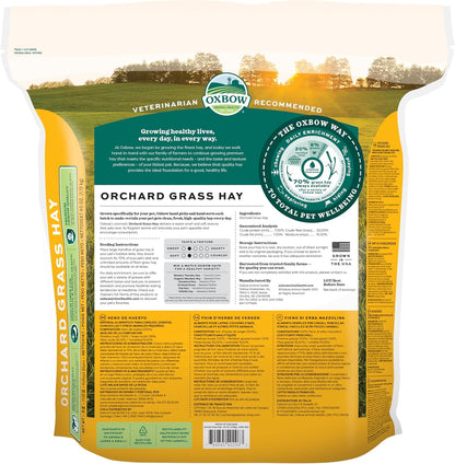 Oxbow Orchard Hay, Rabbit & Guinea Pig Hay, Hand-Sorted, De-Dusted, 40 oz Hand-Sorted, De-Dusted, Oxbow Orchard Grass Hay, Bunny Hay For Rabbits, Guinea Pigs, Bunnies and Chinchillas, Made in USA