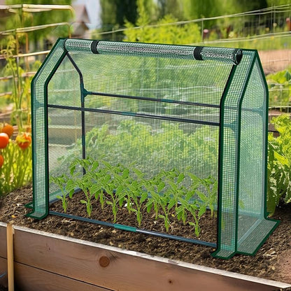 Mini Greenhouse Indoor, 36x19x34(H) Inches Tabletop Garden Nursery Plant Cover Tent with Humidity Domes for Home Gardening, Seedling Propagation and Germination, Green Cover