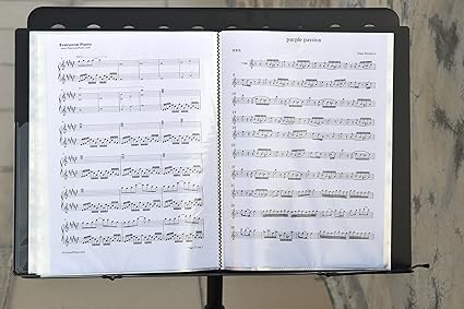 WOGOD Music Sheet File Paper Documents Storage Folder Holder Plastic.A4 Size,40 Pockets (Black)
