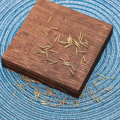 100 Pcs Tiny Brass Nails, Decorative Wooden Nails for DIY Craft Projects(1.2x12mm)