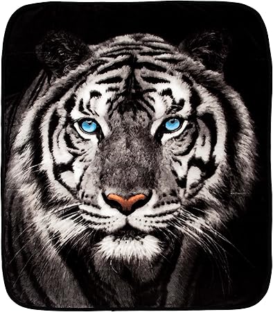 Northwest White Tiger Stare Raschel Throw Blanket, 50" x 60"