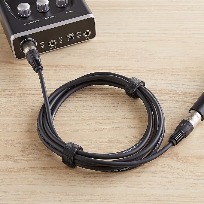 Amazon Basics 2-Pack XLR Microphone Cable for Speaker or PA System, All Copper Conductors, 6MM PVC Jacket, 10 Foot (Black)