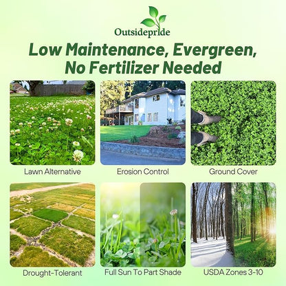 Outsidepride Perennial White Dutch Clover Seed - 5 lbs. Nitrocoated, Inoculated Clover Seeds for Lawn Alternative, Erosion Control, Food Plots, Ground Cover,  Pasture Mixtures in USDA Zones 3-10