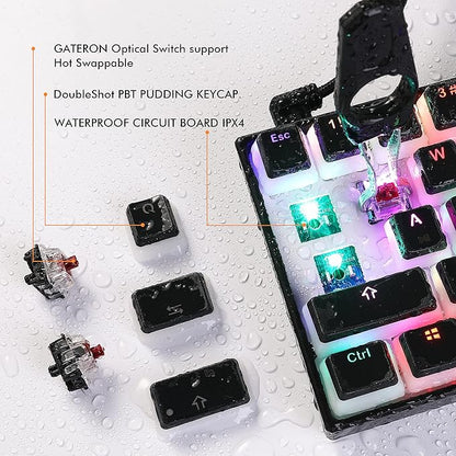 Ractous RTK61 60 Mechanical Gaming Keyboard with PBT Pudding keycap, RGB Backlit Hot Swappable Type-C 61Key Ultra-Compact Keyboard with Full Key Programmable-Black(Gateron Optical Blue Switch