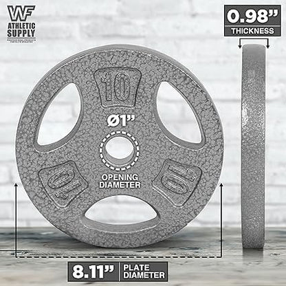 WF Athletic Supply Cast Iron 1-Inch Standard Grip Weight Plate for Strength Training, Charcoal or Gray Color - Pair