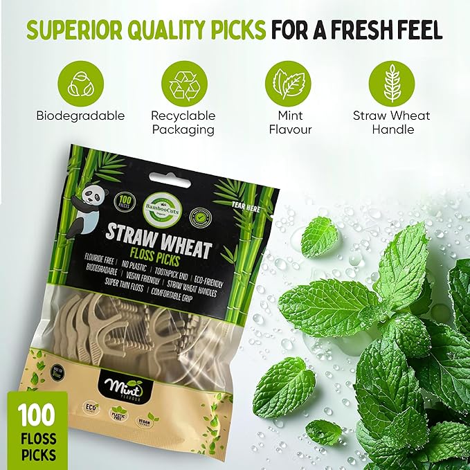 Dental Floss Picks, Biodegradable Handle, Kids Floss, Bamboo Floss, Natural Floss Non Toxic, Organic Floss, Gentle on Gums - Zero Waste, Vegan Organic, Eco Friendly, 100 Mint-Flavored Picks