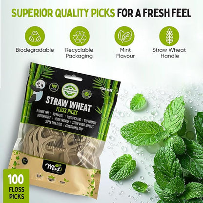 Dental Floss Picks, Biodegradable Handle, Kids Floss, Bamboo Floss, Natural Floss Non Toxic, Organic Floss, Gentle on Gums - Zero Waste, Vegan Organic, Eco Friendly, 100 Mint-Flavored Picks