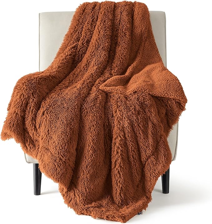 Bedsure Fluffy Burnt Orange Throw Blanket Gifts for Women, Men, Soft Fleece Cozy Fuzzy Sherpa Plush Warm Thick Faux Fur Throws for Couch, Fall Terracotta Orange Decor Valentines Blanket Gifts for Her