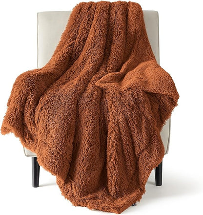 Bedsure Fluffy Burnt Orange Throw Blanket Gifts for Women, Men, Soft Fleece Cozy Fuzzy Sherpa Plush Warm Thick Faux Fur Throws for Couch, Fall Terracotta Orange Decor Valentines Blanket Gifts for Her