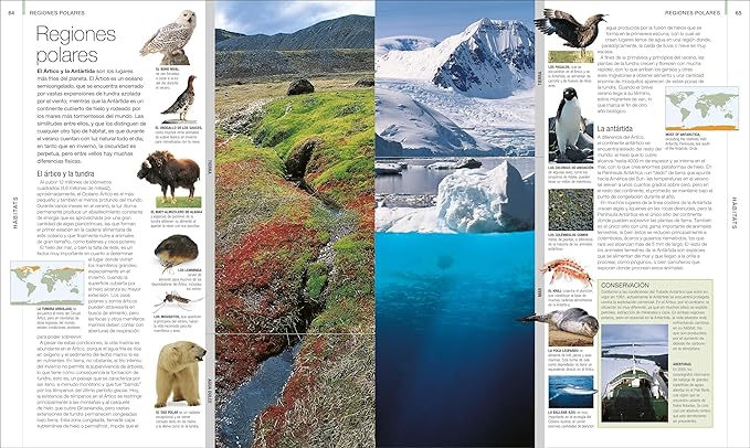 Animal: La guAa visual definitiva