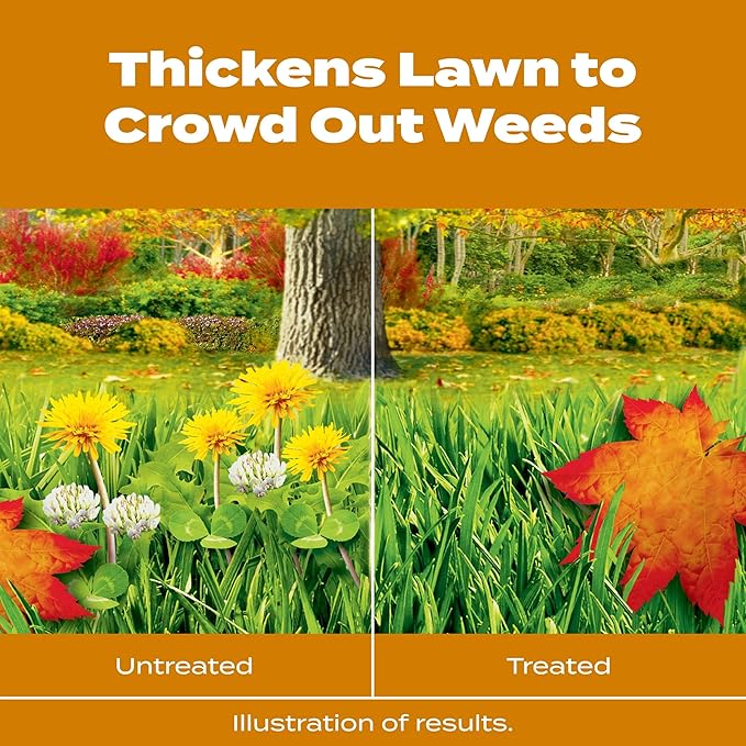 Scotts Turf Builder WinterGuard Fall Weed & Feed 3, 5,000 sq. ft.