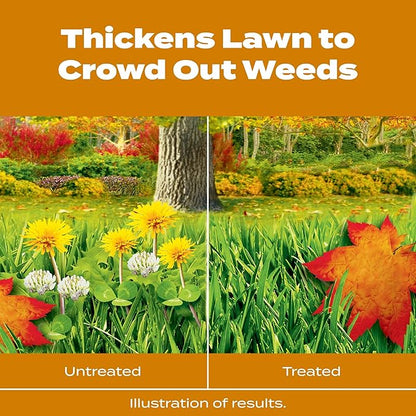 Scotts Turf Builder WinterGuard Fall Weed & Feed 3, 5,000 sq. ft.