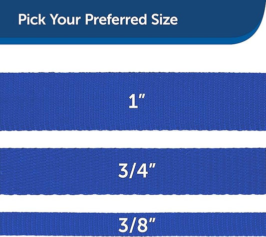 etSafe Nylon Dog Leash – Strong, Durable, Traditional Style Leash with Easy to Use Bolt Snap for Small, Medium and Large Dogs – 3/8" x 6', Royal Blue